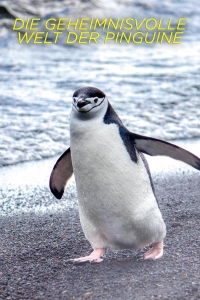 Секреты пингвинов